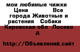 мои любимые чижки › Цена ­ 15 000 - Все города Животные и растения » Собаки   . Кировская обл.,Лосево д.